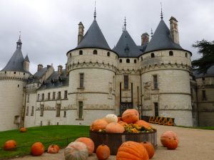 Chateau Chaumont sur loire