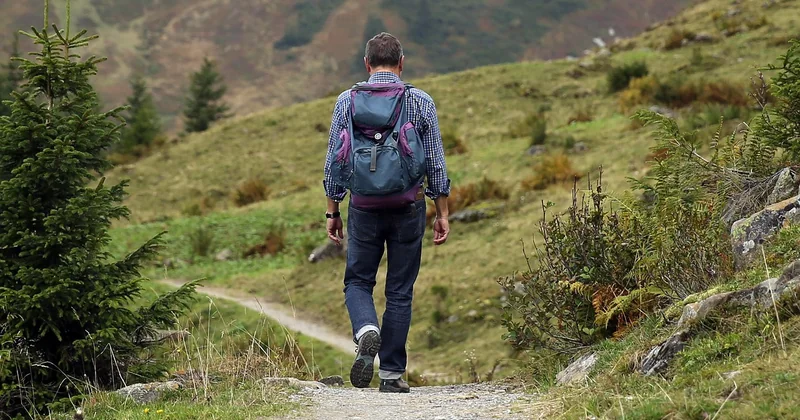 La randonnée : le cœur de toute aventure néo-zélandaise