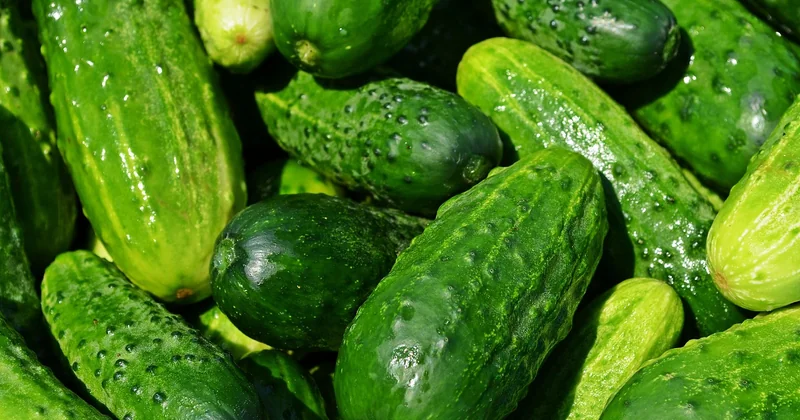 Les incontournables — et comment les aborder sans déception